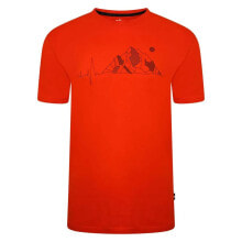 Men's sports T-shirts and T-shirts