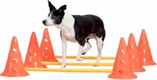PAWISE Agility Training Set 30 cm