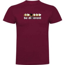 Men's sports T-shirts and T-shirts