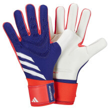 Goalkeeper gloves for football