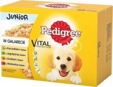 Купить влажные корма для собак Pedigree: Pedigree Junior mix smaków w galaretce 12x100g