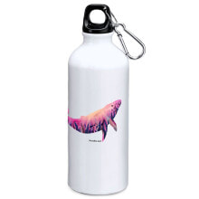 Sports Water Bottles