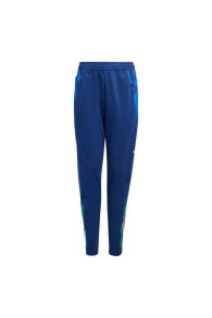 Women's Sweatpants