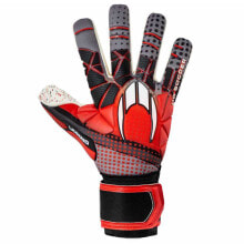 Вратарские перчатки для футбола hO SOCCER Plus Legend SSG Goalkeeper Gloves