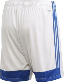 Men's Sports Shorts