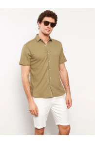 Men's Shirts