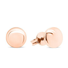 Ювелирные серьги minimalist bronze earrings EA103R