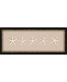 Paragon Picture Gallery paragon Starfish Framed Wall Art, 12