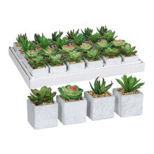 Decorative Plant Mica Decorations 8 x 5 cm Green PVC Succulent