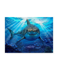 Trademark Global howard Robinson 'Stalking Shark' Canvas Art - 19