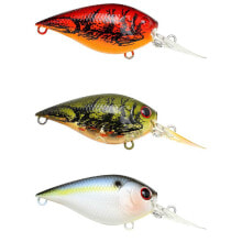 Baits and jigs for fishing