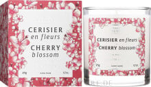 Duftkerze im Glas Kirschblüte - Panier Des Sens Scented Candle Cherry Blossom