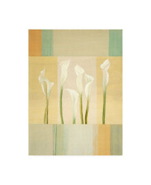 Trademark Global pablo Esteban Calla Lilies on Beige Pattern Canvas Art - 19.5