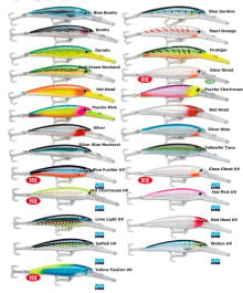 Baits and jigs for fishing