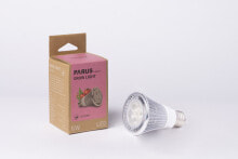 Лампочки venso EcoSolutions Cultura energy-saving lamp 6 W E27 E501 300