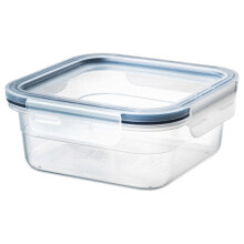 Tableware and food storage containers