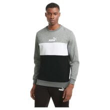 PUMA Essental+Colorblock Crew Sweatshirt