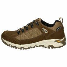 Men's sports shoes for trekking