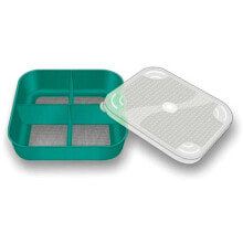 STONFO Square 4 Compartments Box