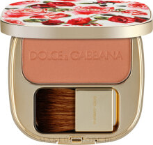 Schimmerndes Rouge - Dolce&Gabbana Blush Of Roses Luminous Cheek Colour