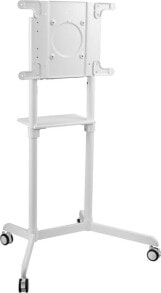 Купить кронштейны и стойки для телевизоров и аудиотехники VivoLink: VivoLink Mobile Stand Rotating White,