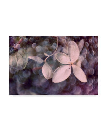 Trademark Global judy Stalus Purple Hydrangea Canvas Art - 15