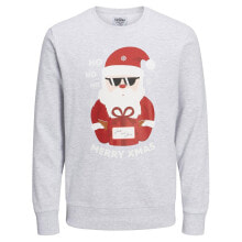 JACK & JONES Jortoon Sweatshirt