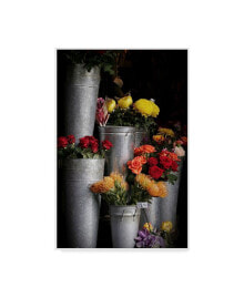 Trademark Global american School Flowers in Aluminum Pots Canvas Art - 15