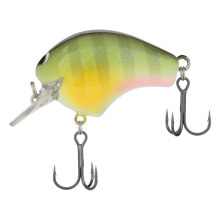 Baits and jigs for fishing