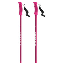 Nordic walking sticks and trekking poles