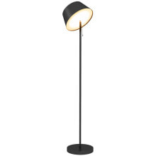 Floor lamps with 1 lampshade