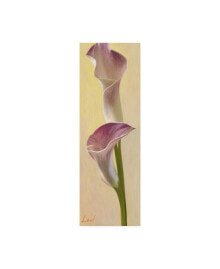Товары для дома pablo Esteban Pink Floral Bell 2 Canvas Art - 36.5" x 48"