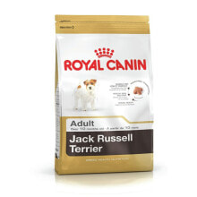Fodder Royal Canin Jack Russell Adult Adult Rice Birds 1,5 Kg