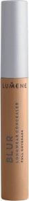 Blur Longwear Concealer