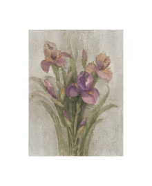 Trademark Global albena Hristova Purple Iris Garden on Grey Canvas Art - 15.5