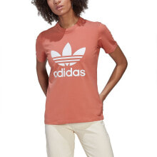 ADIDAS ORIGINALS Adicolor Classics Trefoil Short Sleeve T-Shirt