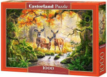 Детские развивающие пазлы Castorland Puzzle 1000 Royal Family