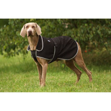 Clothing and shoes for dogs