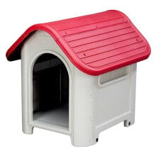 Sun beds and dog houses