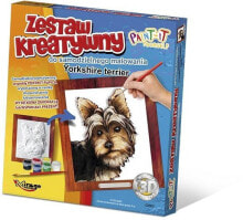 Zestaw kreatywny Yorkshire terrier