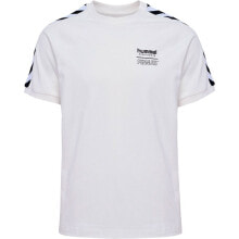 Men's sports T-shirts and T-shirts