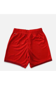 Men's Sports Shorts