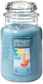 Duftkerze im Glas - Yankee Candle Bahama Breeze