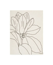 Trademark Global moira Hershey Magnolia Line Drawing V2 Crop Canvas Art - 19.5