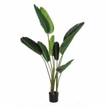 Товары для дома декоративное растение Зеленый PVC 150 cm Стрелиция королевская
