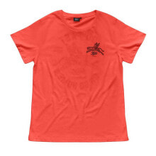 Men's sports T-shirts and T-shirts