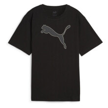 Men's sports T-shirts and T-shirts