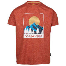 Men's sports T-shirts and T-shirts