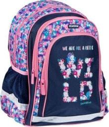 School backpacks, satchels and bags