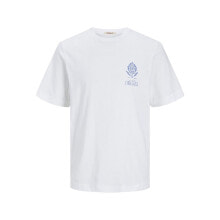 Men's sports T-shirts and T-shirts